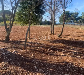 Istra, Fažana- poljoprivredno zemljište 660m2 samo 50m od mora - cover