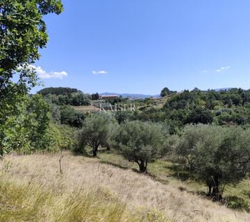Istra, Buzet - građevinsko zemljište s pogledom na prirodu - cover