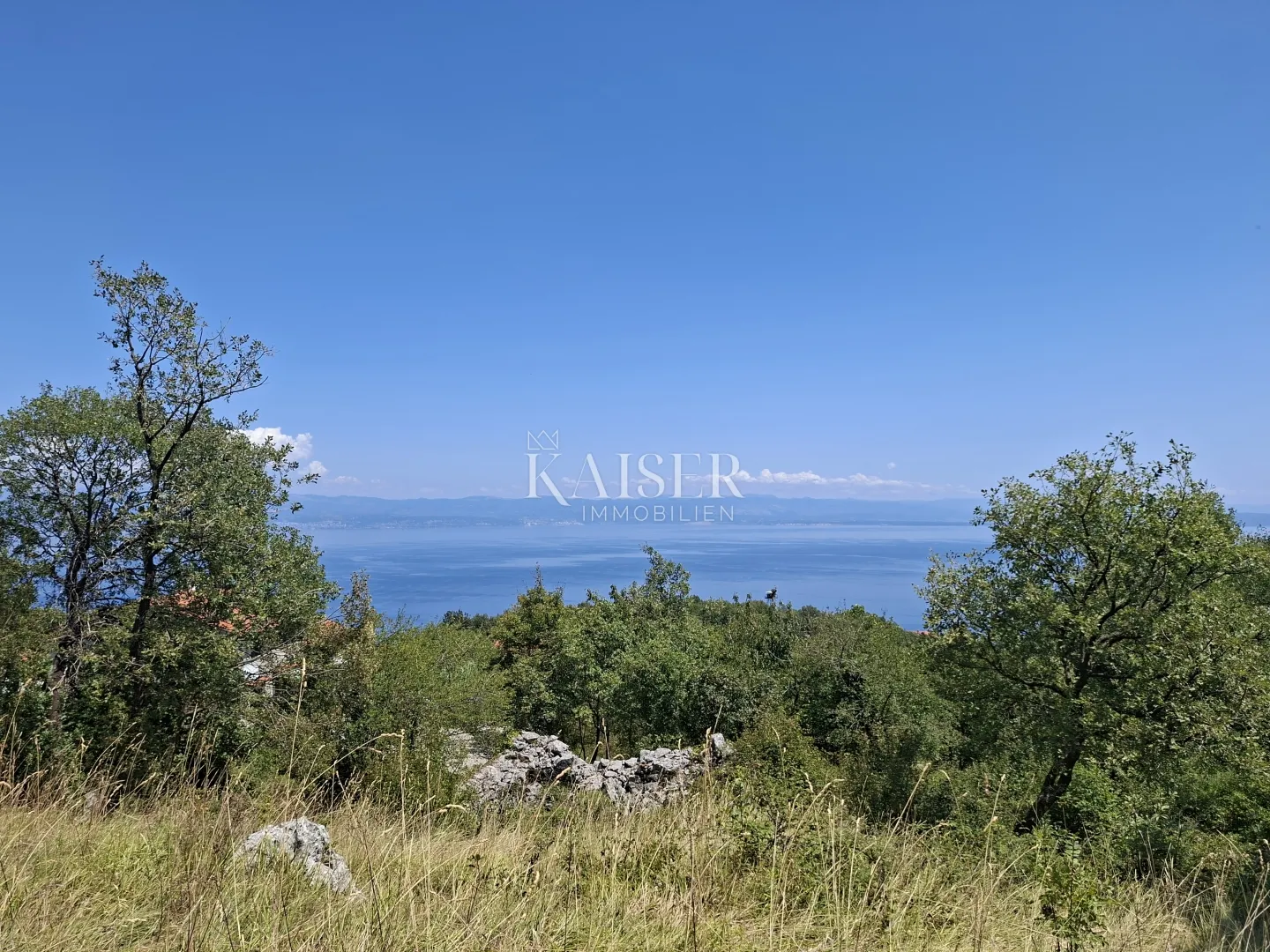 Fotografija