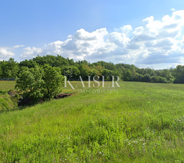 Istra, Sveti Petar u Šumi- poljoprivredno zemljište 10.000m2 blizu građevinske zone - cover