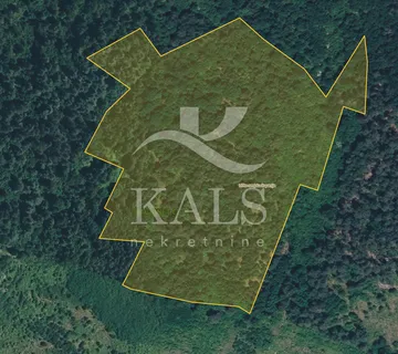 ZEMLJIŠTE, PRODAJA, GOSPIĆ, DIVOSELO, 55511 m2 - cover