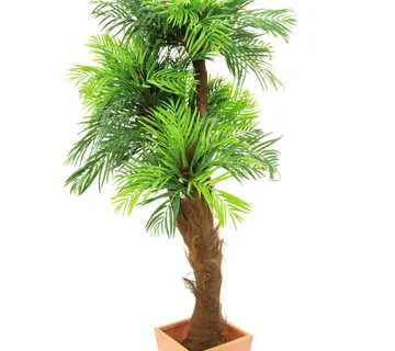 EUROPALMS Areca palm tree, 120cm - cover