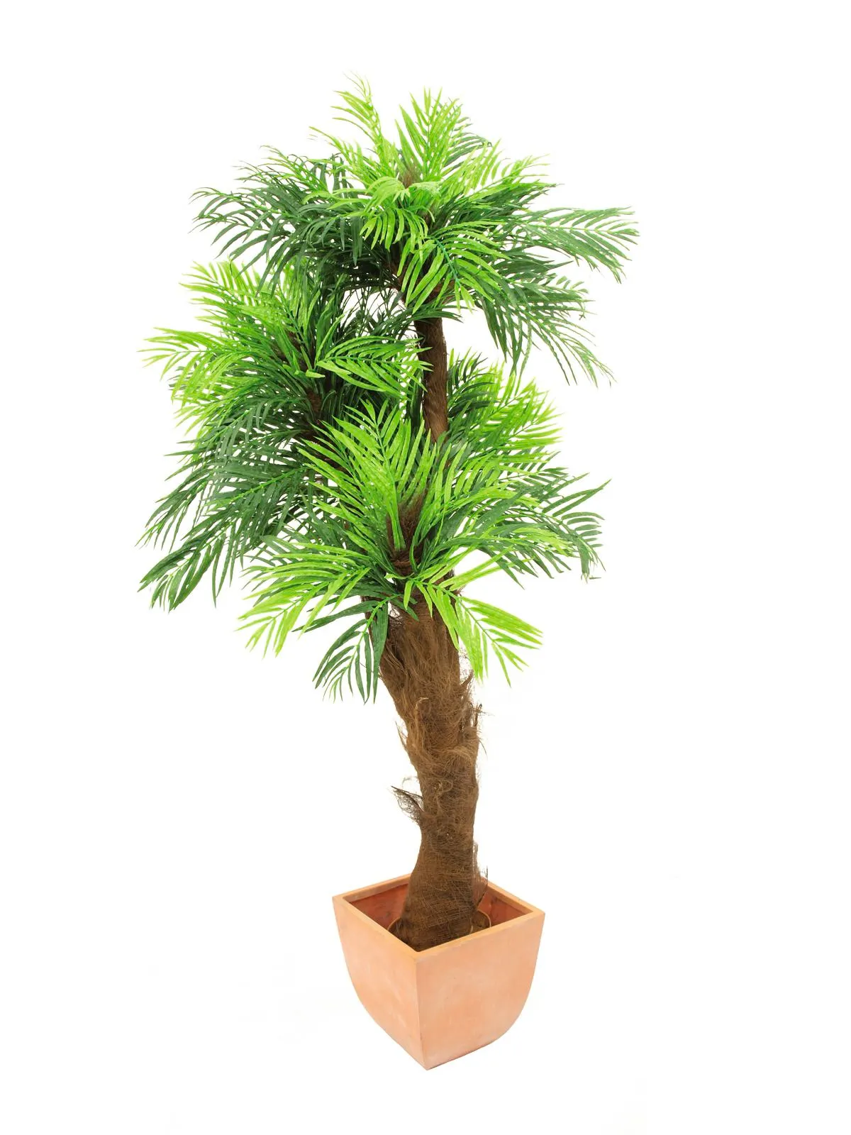 EUROPALMS Areca palm tree, 120cm - cover