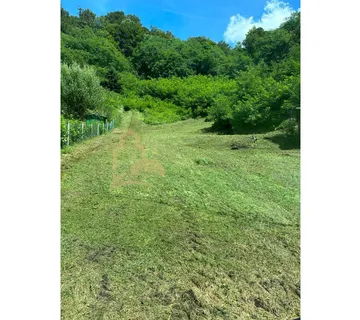Radakovo, 8.761 m² - mogućnost prenamjene - cover
