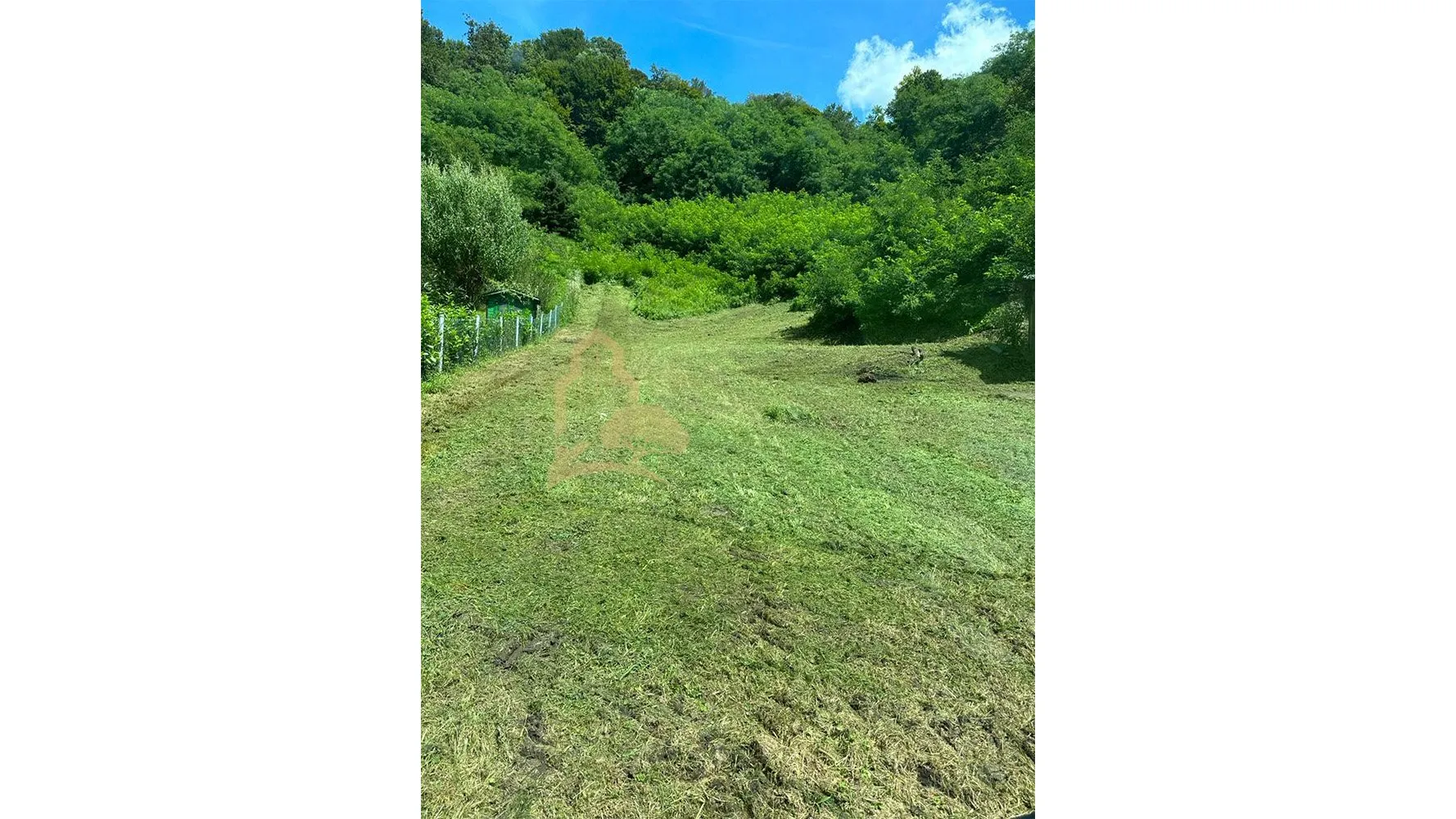 Radakovo, 8.761 m² - mogućnost prenamjene - cover