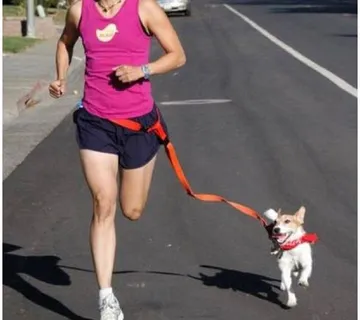 Handsfree povodac za trčanje, vožnju biciklom za psa - cover