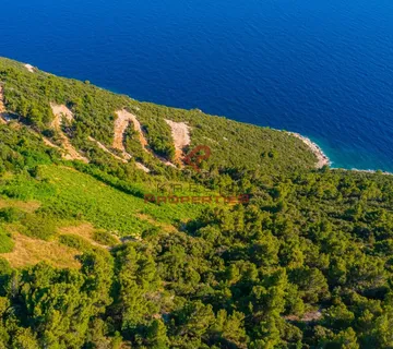 Poljoprivredno zemljište, Prvi red do mora-Dingač,Pelješac - Potomje, Orebić