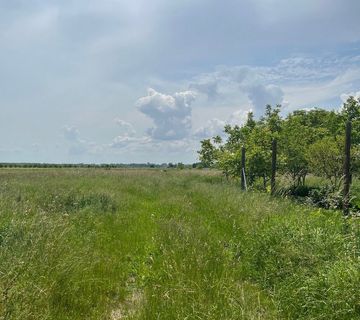 KUĆA U PRIBISLAVCU S HALOM OD 400M2 ZA RAZNE DJELATNOSTI- CIJENA ZA DOGOVOR - cover