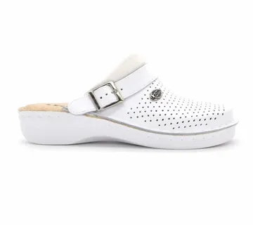 ANATOMSKE KLOMPE, Bijela, IHCJ - cover