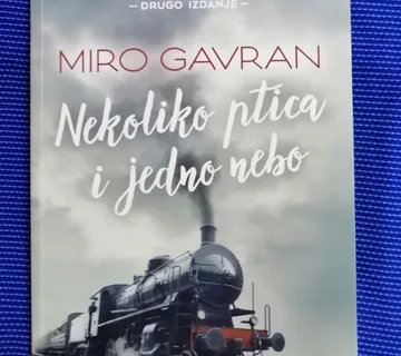 Miro Gavran – Nekoliko ptica i jedno nebo [B117] - cover