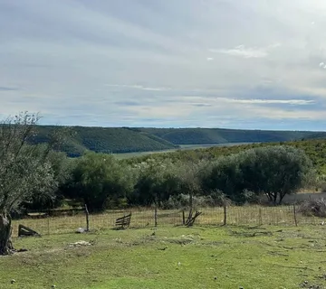 BUJE- GRAĐEVINSKO ZEMLJIŠTE NA RUBU SELA SA POGLEDOM NA MORE - cover