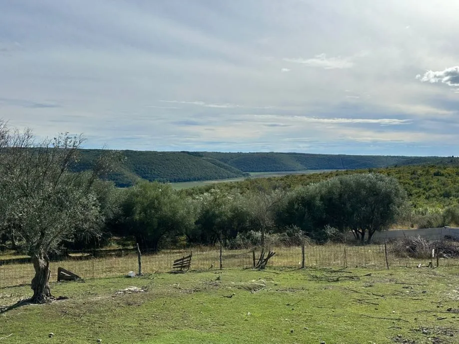 BUJE- GRAĐEVINSKO ZEMLJIŠTE NA RUBU SELA SA POGLEDOM NA MORE - cover