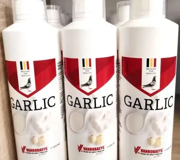 Sirup češnjaka 500ml - cover