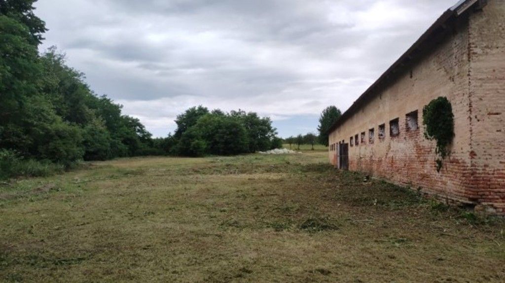 Fotografija