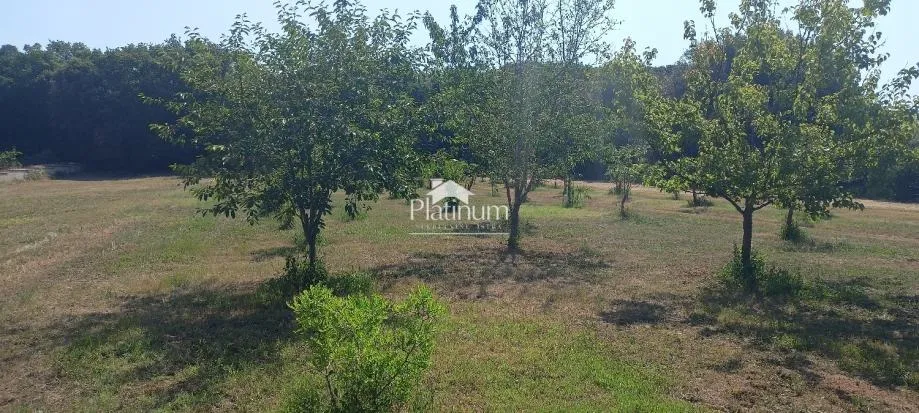 Fotografija