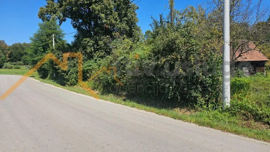 Fotografija