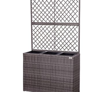 RATTAN VAZA - cover