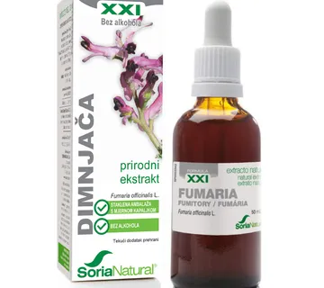 Dimnjača XXI ekstrakt - cover