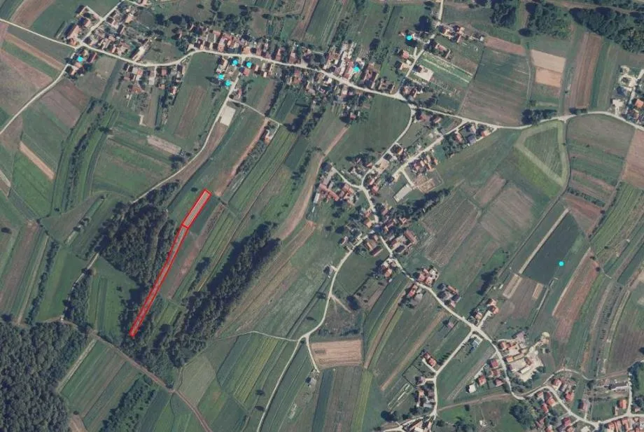 Fotografija