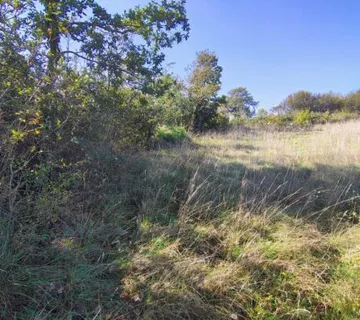 Hrvatska Istra Barban građevinsko zemljište 1.465 m² - cover