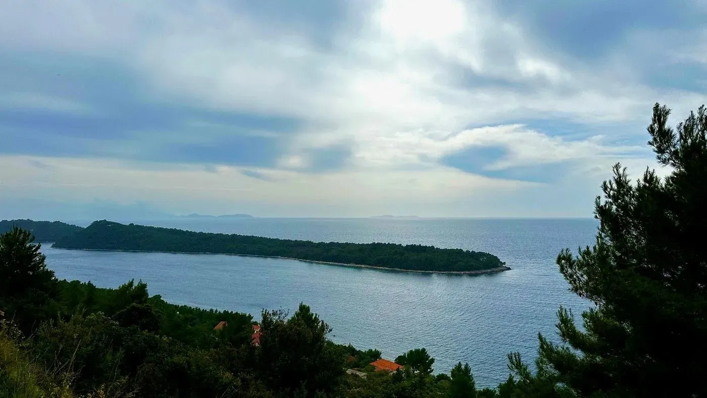 Fotografija