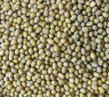 Mungo grah-katjang 1kg - cover