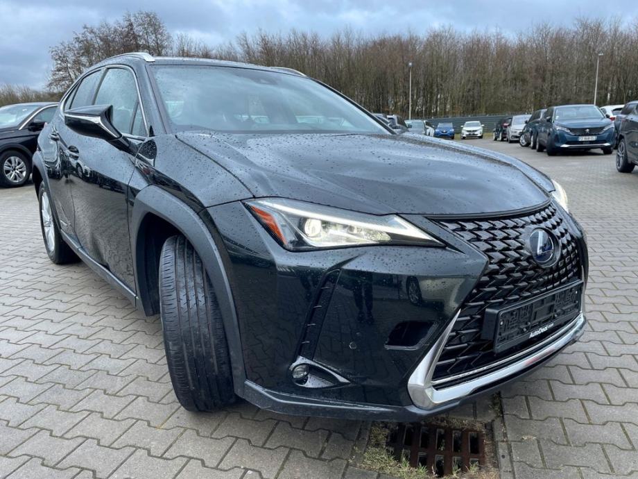 lexus-ux-250h-svojim-kamionima-uvozimo-narudzbi-slika-216620420