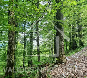 Poljoprivredno zemljište, šuma, Delnice, 75555 m2 - cover