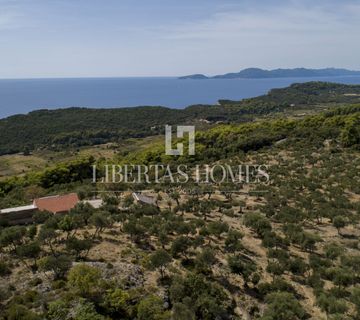 Prodaja imanja s ruševinama i nevjerojatnim zemljištem na otoku Šipanu kraj Dubrovnika - cover