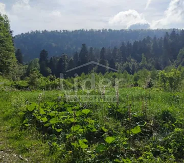 FUŽINE Zemljište-šuma od 22.378 m2 s prilazom