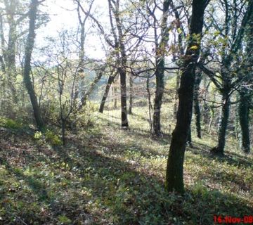 Čavle - Cernik, građevinsko zemljište 1724 m2 - cover