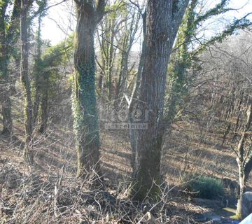 Čavle - Cernik, građevinsko zemljište 1724 m2 - cover