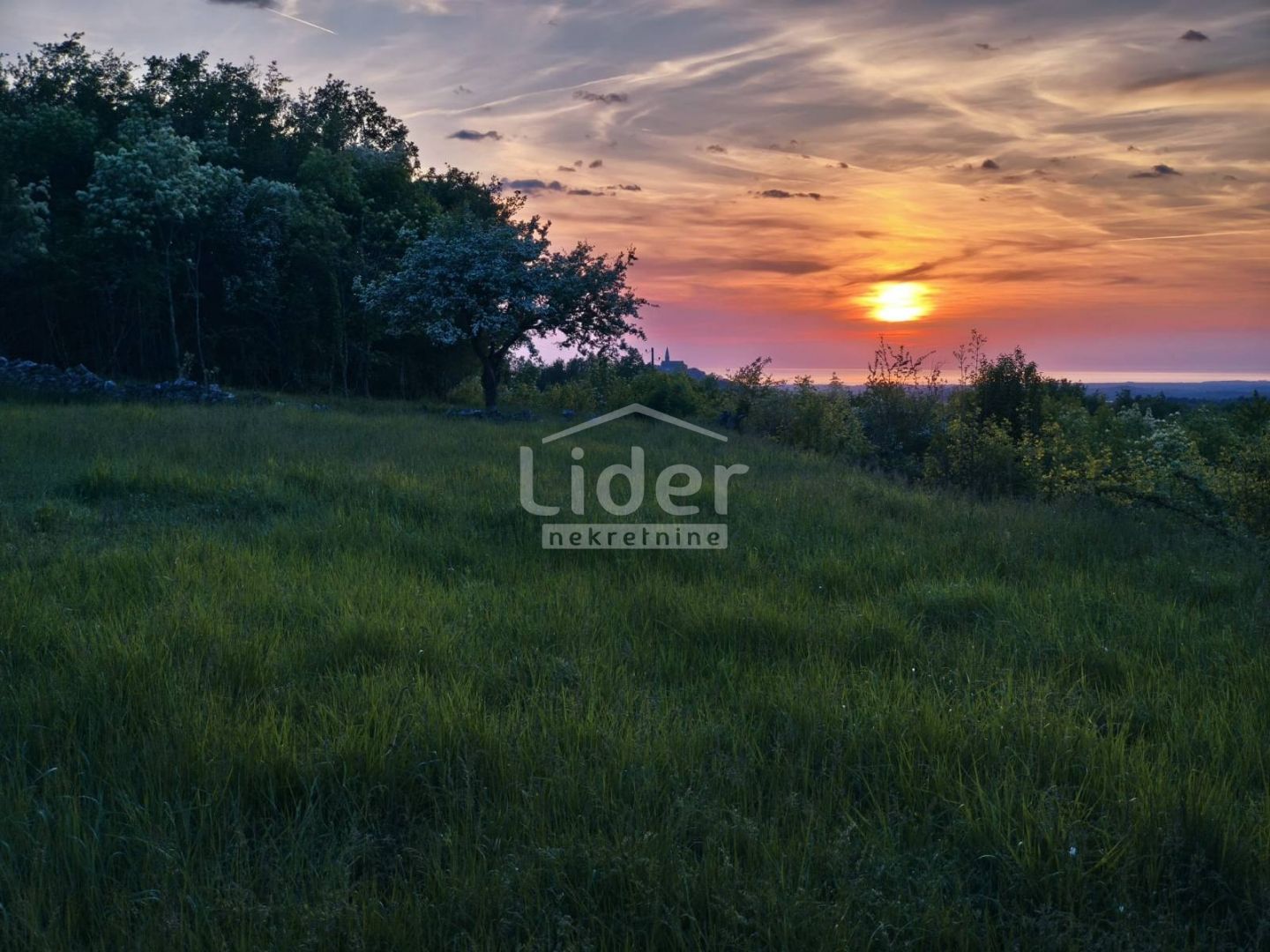 Fotografija
