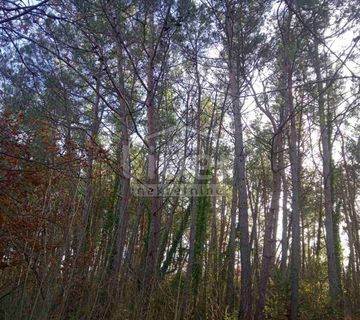 Poljoprivredno zemljište od 68.000m2 blizu Vodnjana - cover