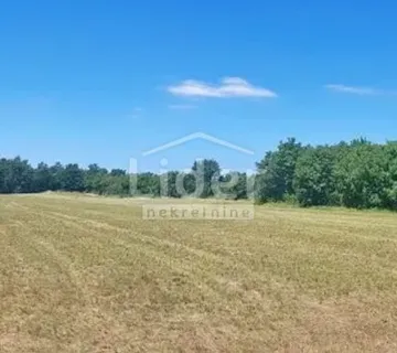 ISTRA - 20.000 m2 poljoprivrednog zemljišta - cover