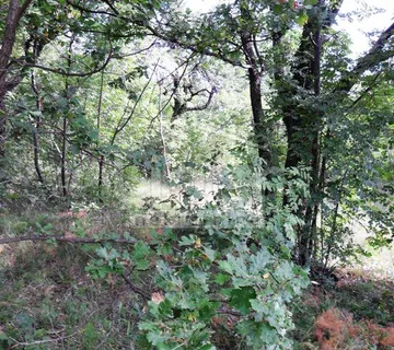 Teren Rijeka, DRENOVA, 1900m2