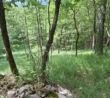 ŠKALNICA Poljoprivredno zemljište od 1311 m2 - Škalnica, Klana