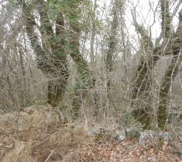 SUŽAN (OTOK KRK) Poljoprivredno zemljište, 2841 m2 - cover