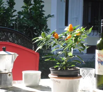 Opatija, stan od 96m2 sa vrtom pretvoren u 2 manja stana...