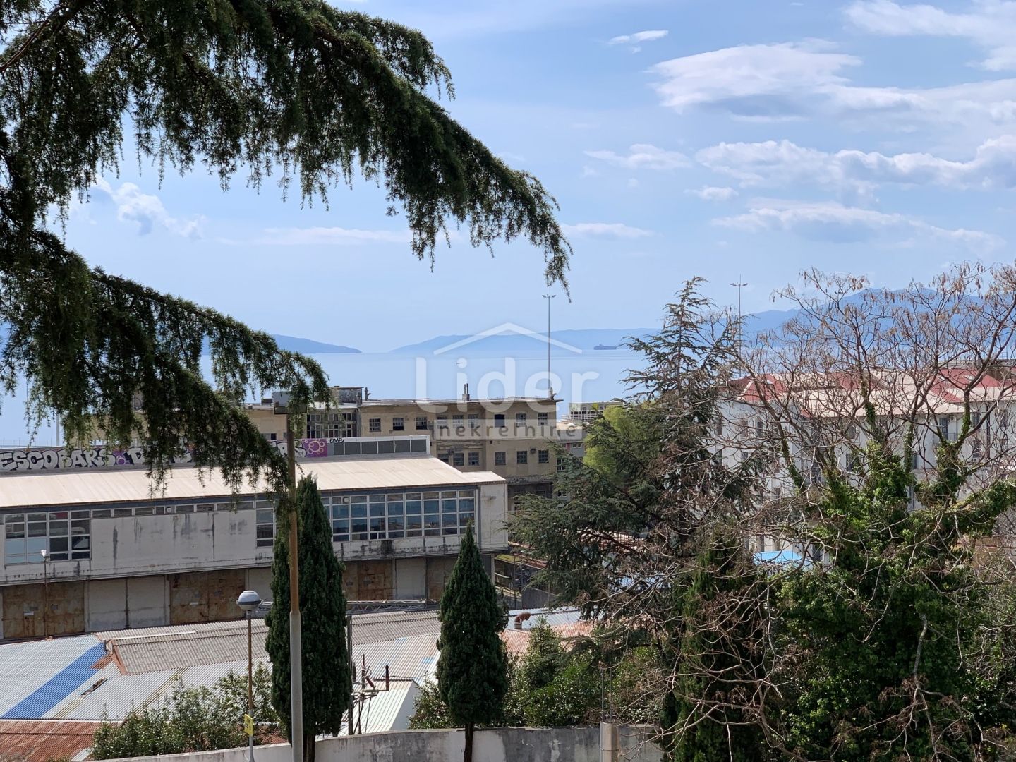 Fotografija