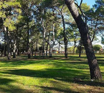 ROVINJ, GRAĐEVINSKO ZEMLJIŠTE 12.050 m2