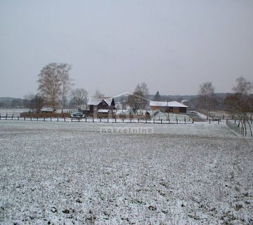 ZEMLJIŠTE, odlično za uzgoj konja - cover