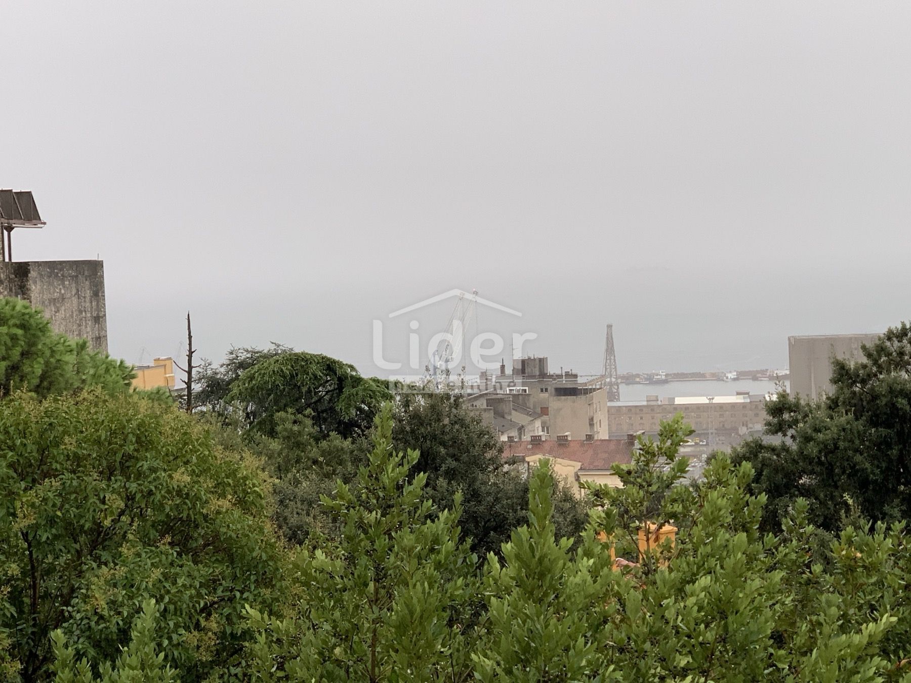 Fotografija