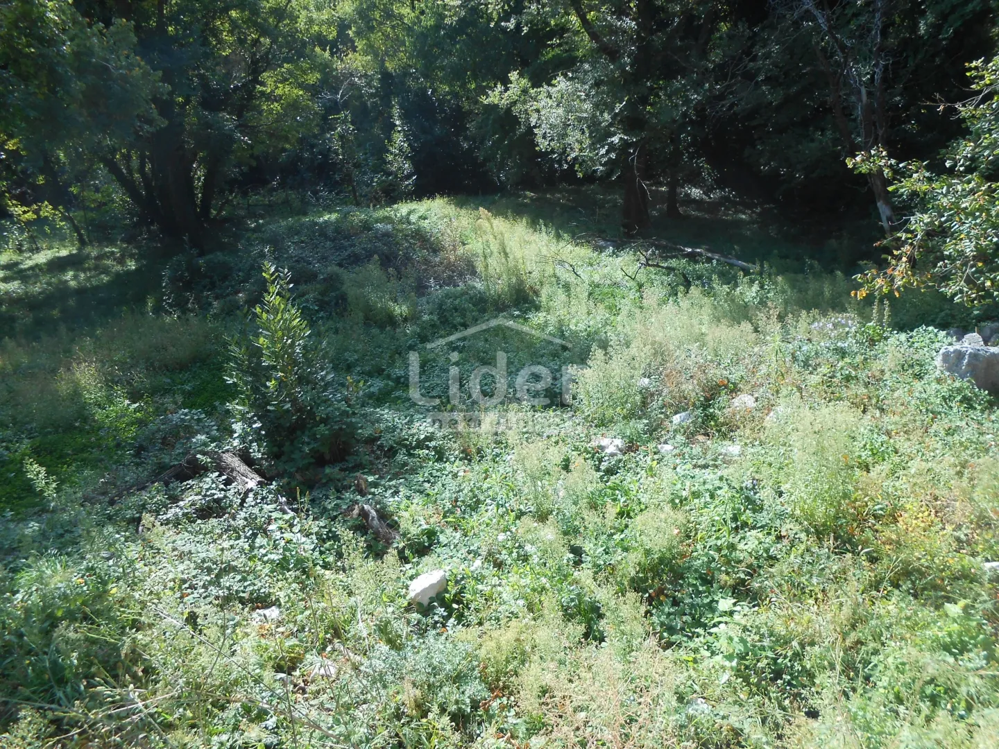 ANTOVO (GRIŽANE) Građevinsko zemljište od 1126 m2 - cover