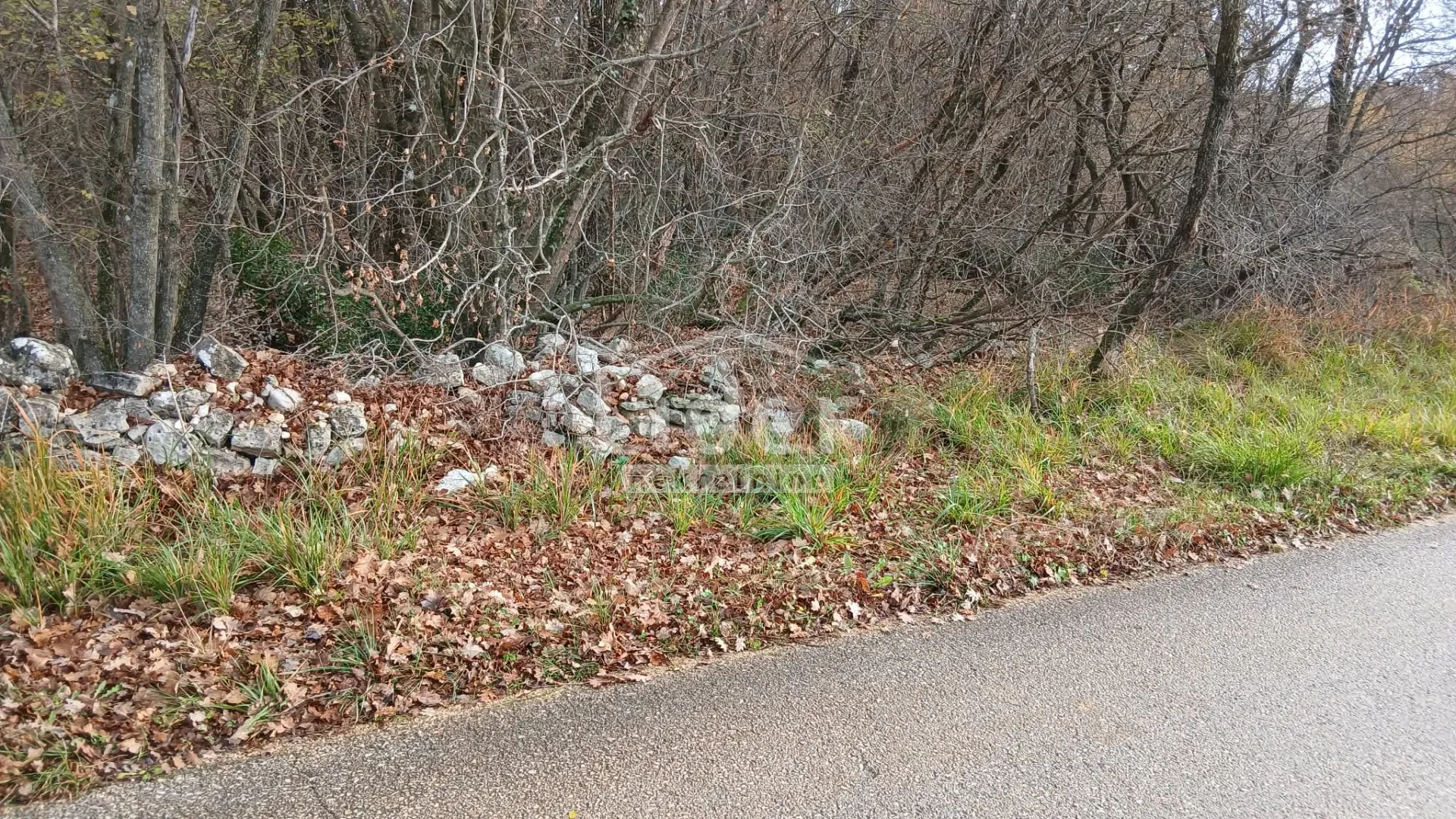 Veliko poljoprivredno zemljište blizu Kanfanara - cover