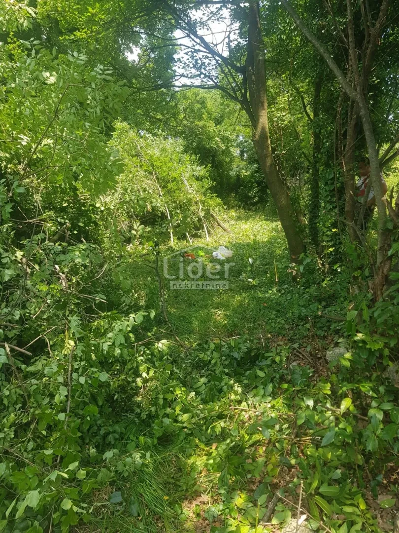 Fotografija