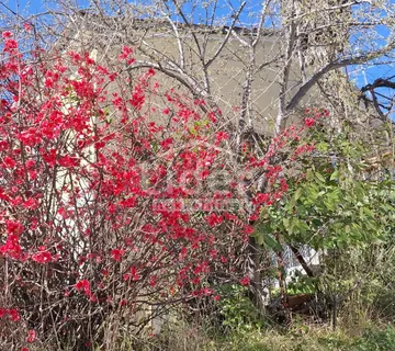 VOLOSKO-kuća na odličnoj lokaciji - cover