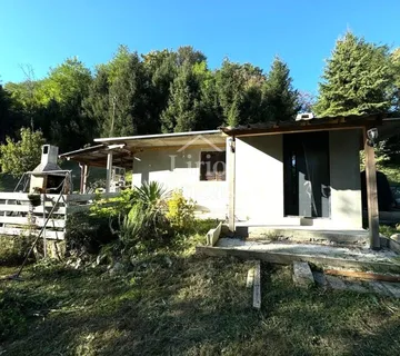 Bobovec Rozganski - Bobovec Rozganski, Dubravica
