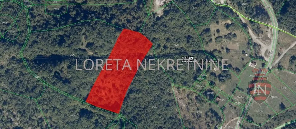 Poljoprivredno zemljište, Zlobin, 8298 m2 - cover