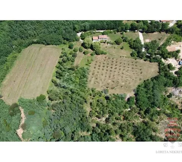 Imanje za prodaju oko 50 000 m2 s kućom, Istra - Nedešćina, Sveta Nedelja